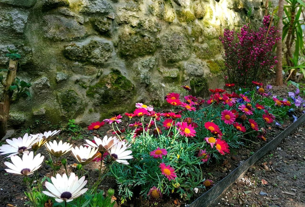 Boavista Charming Apartment With Garden By Great&Cosy OOporto Exteriör bild